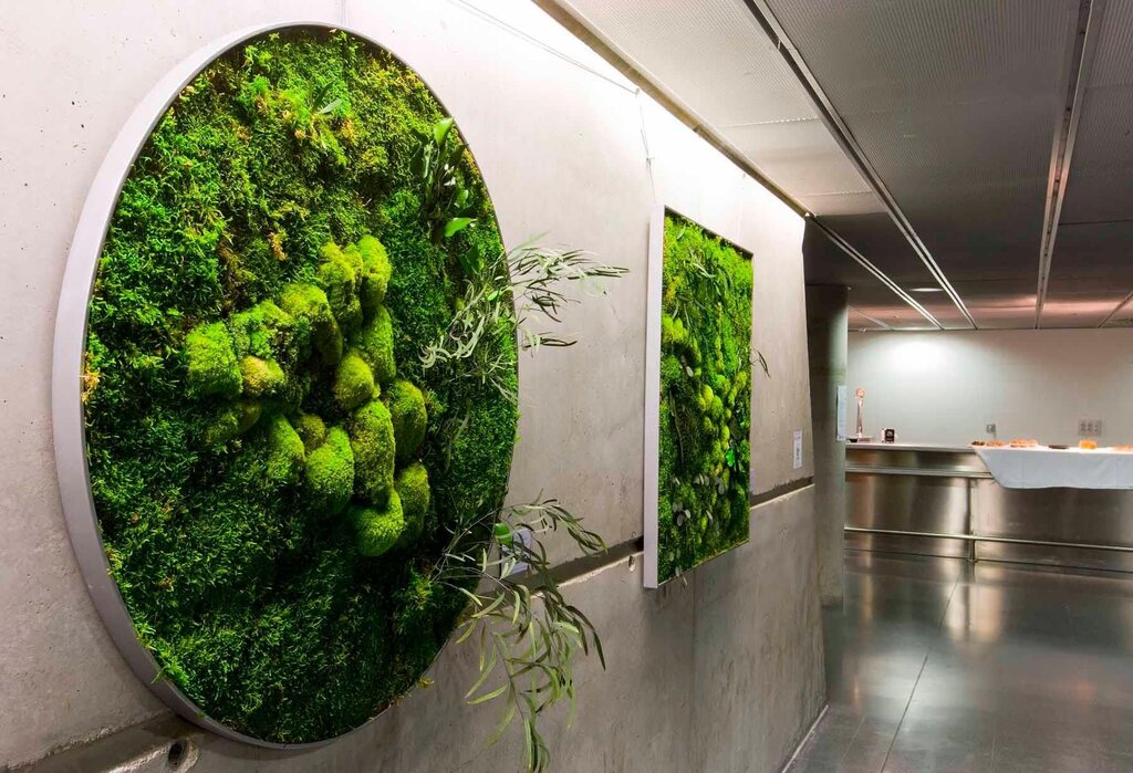 Panels made of stabilized moss