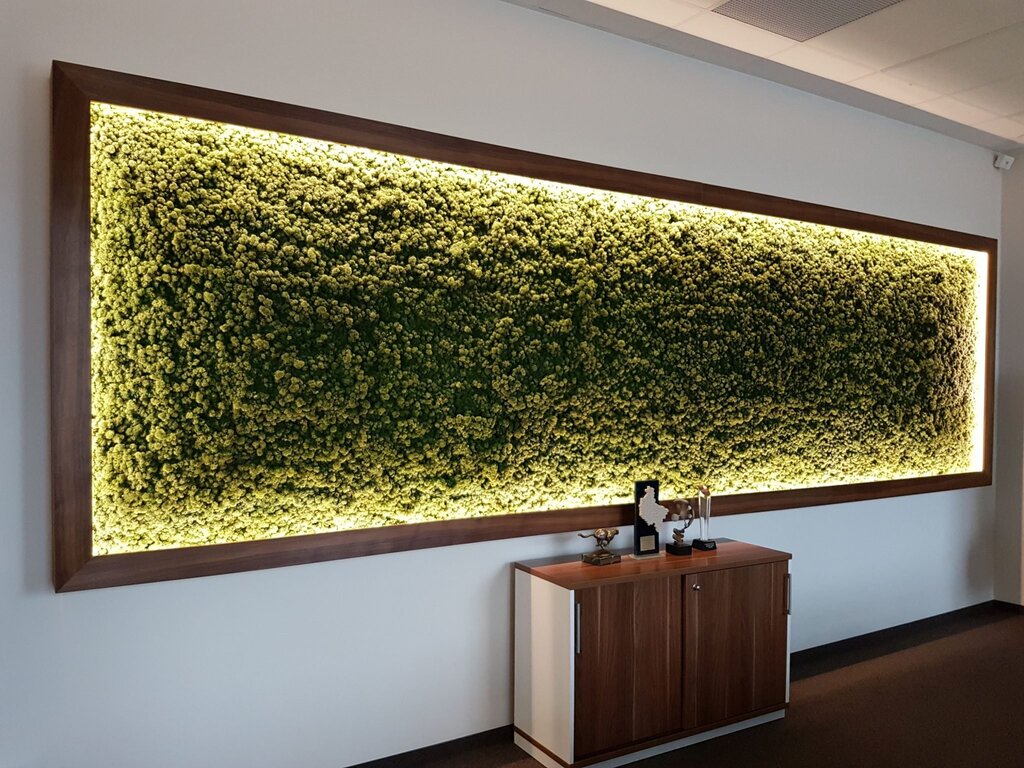 Moss panel with backlighting