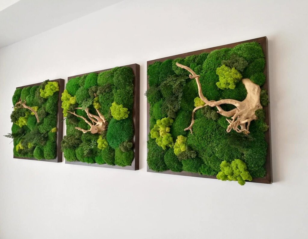 A panel made of stabilized moss