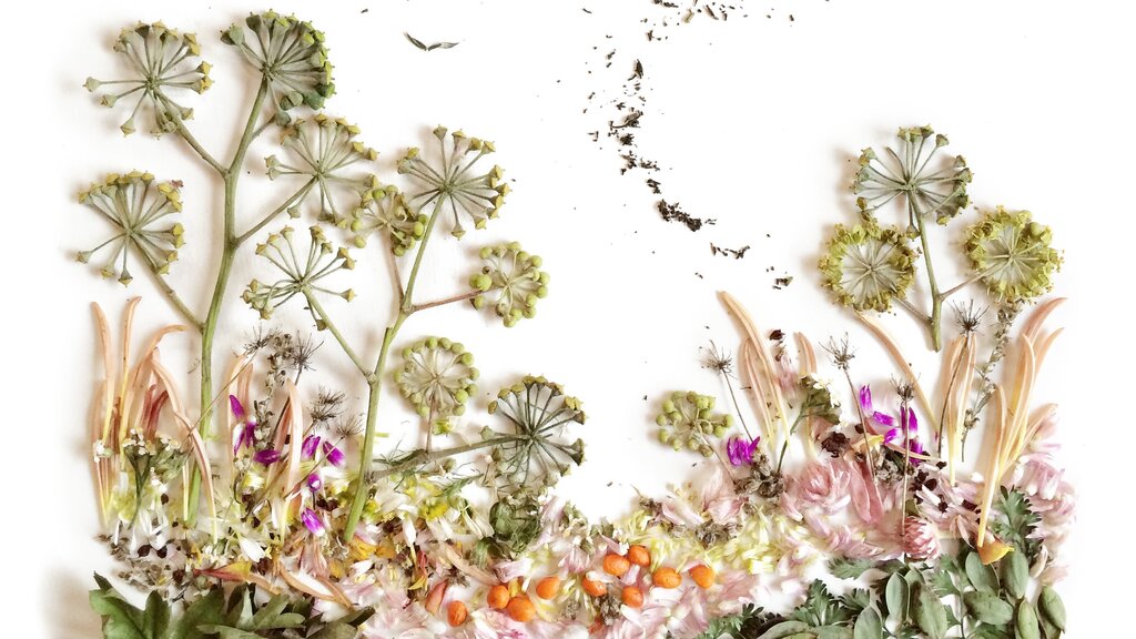 Panel made of dried flowers