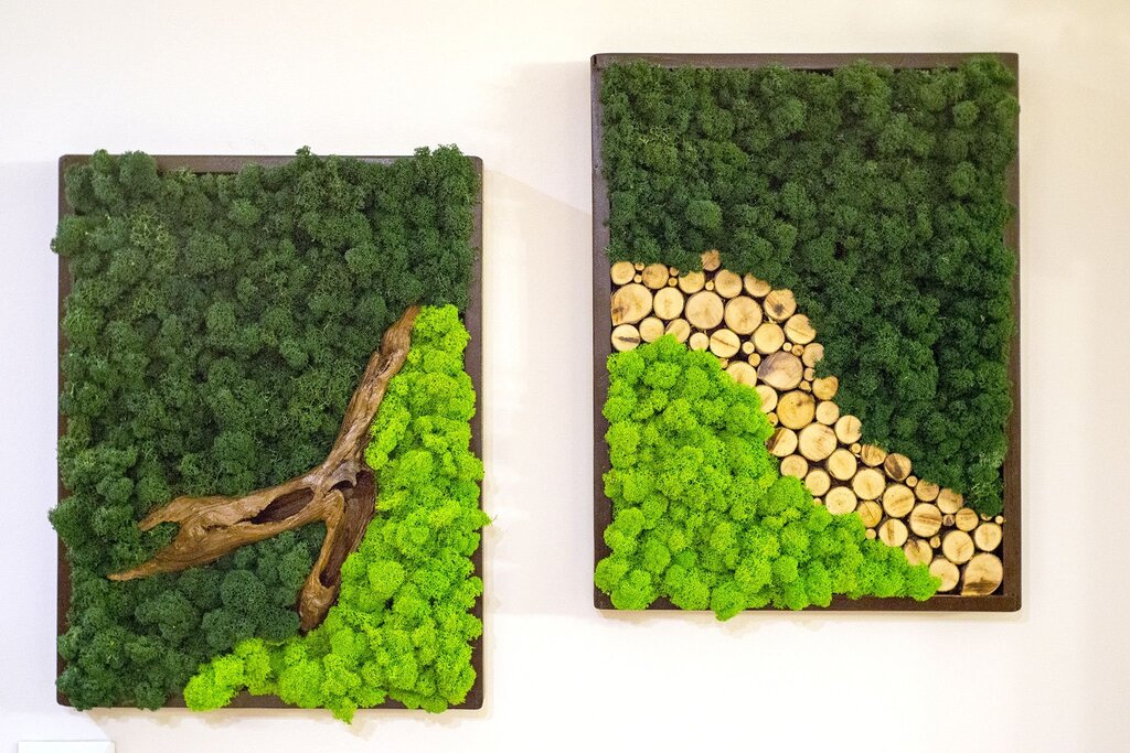 Wall panel made of moss