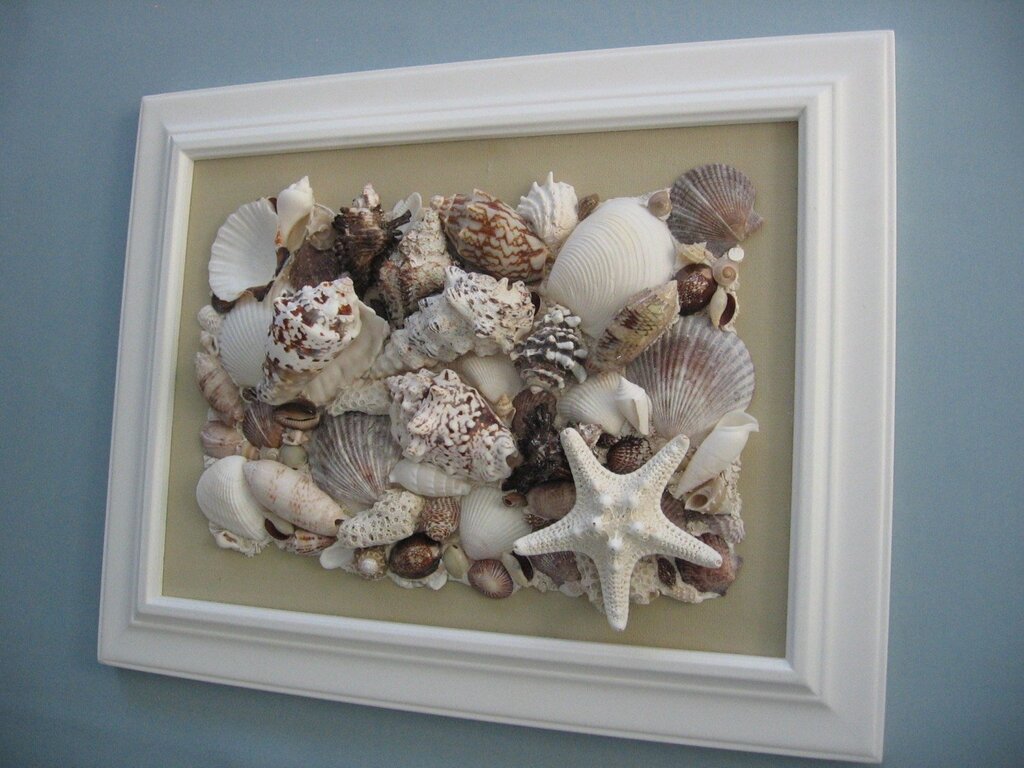 Panel with shells