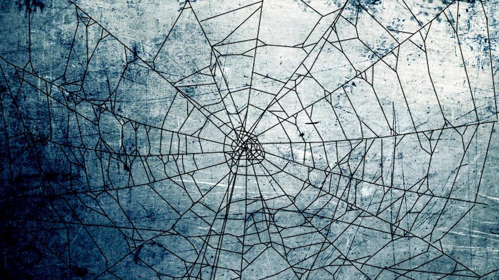 Spider web for walls