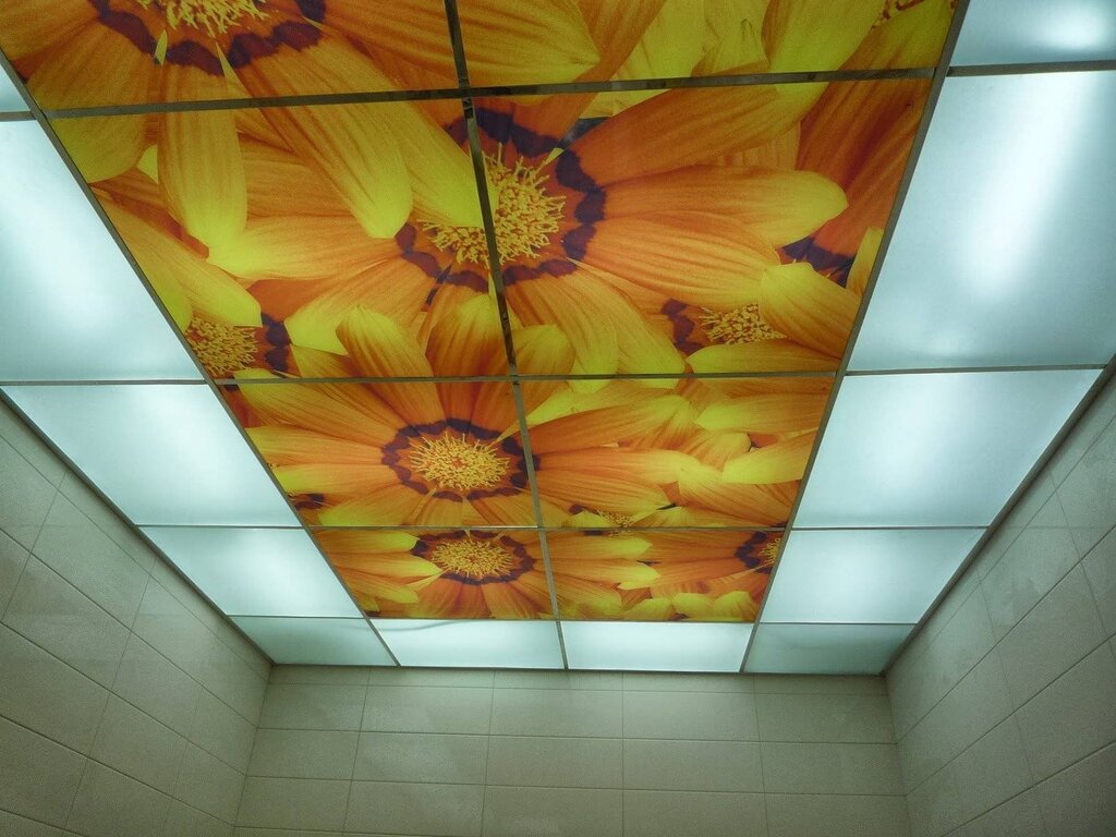 Plastic panels for the ceiling