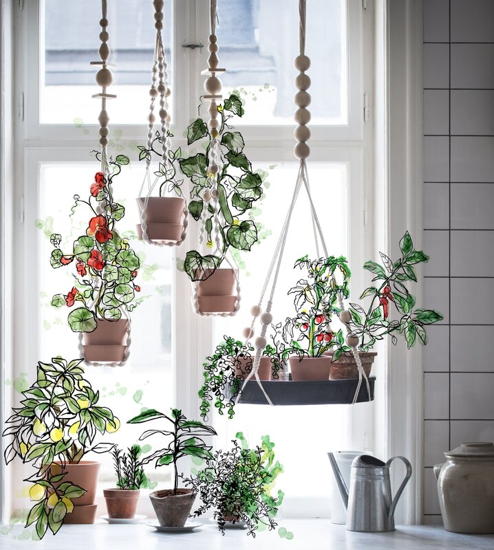 Hanging flowers in the interior