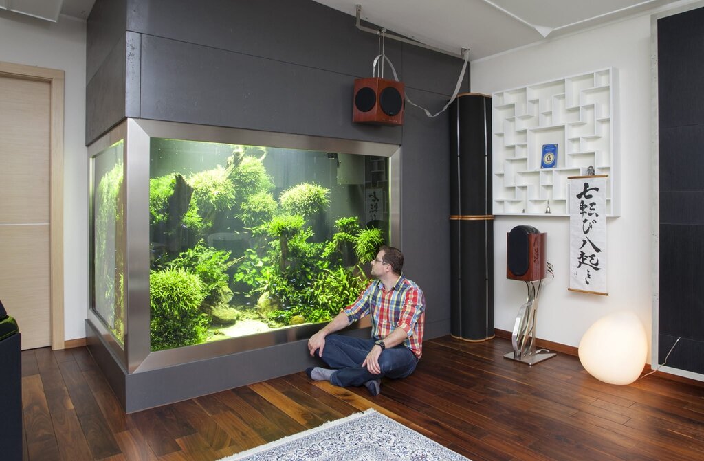 Wall-mounted aquarium