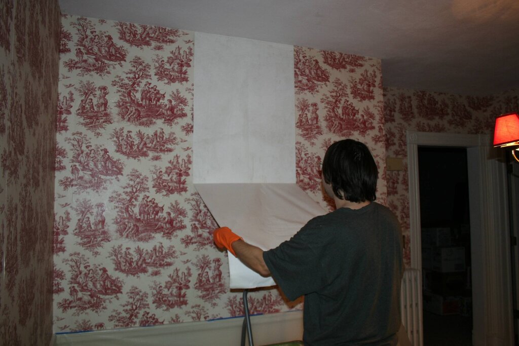 Painting Non-Woven Wallpaper Yourself