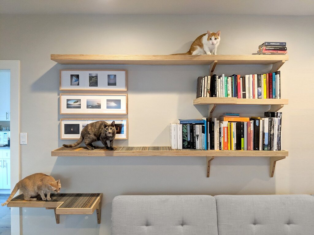 Cat shelf