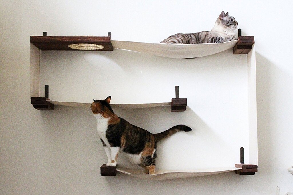 Shelf for a cat