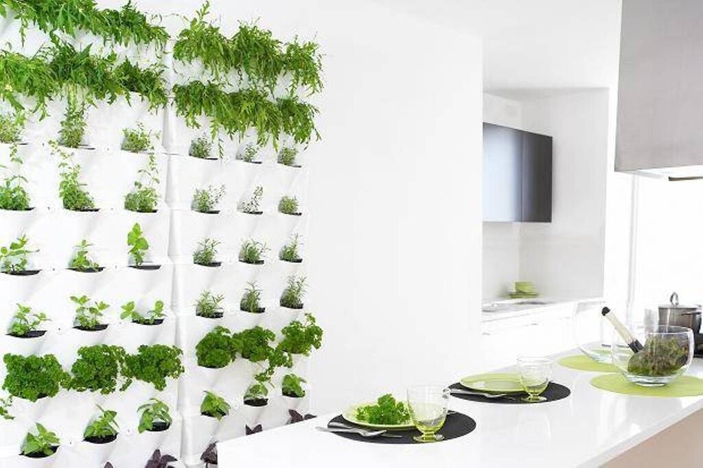 A shelf for greens in the kitchen