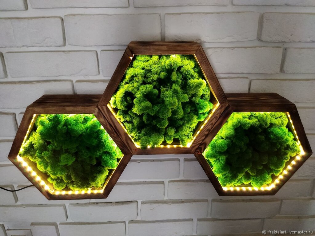 Shelf with honeycomb and moss