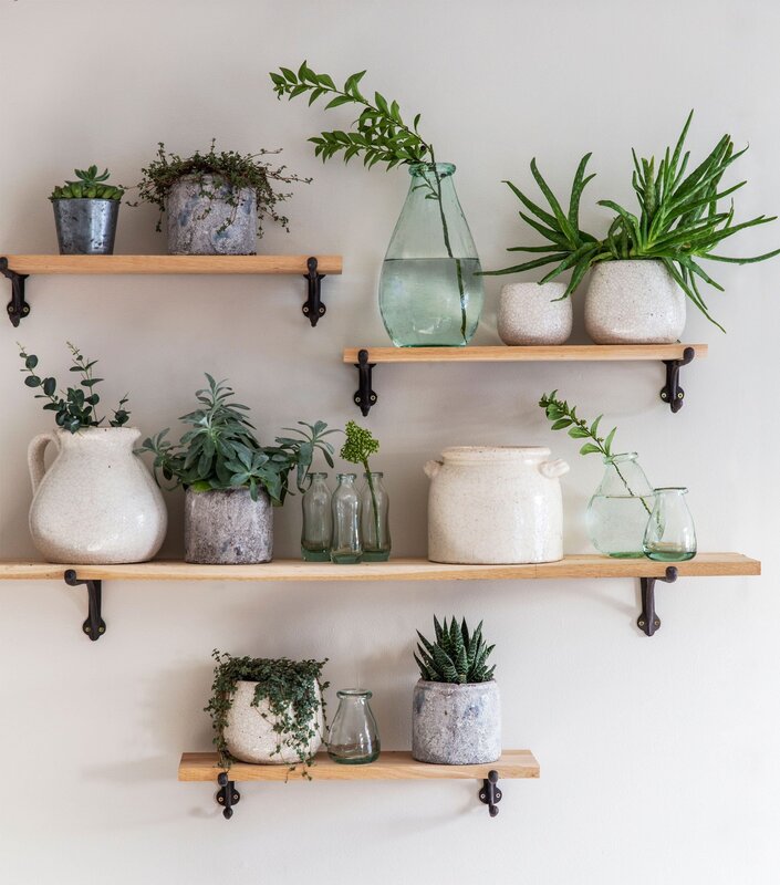 Shelves with flowers in the interior