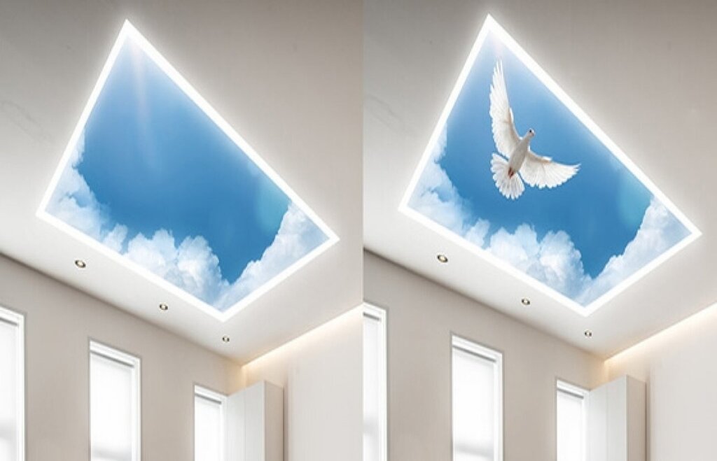 Double vision ceilings