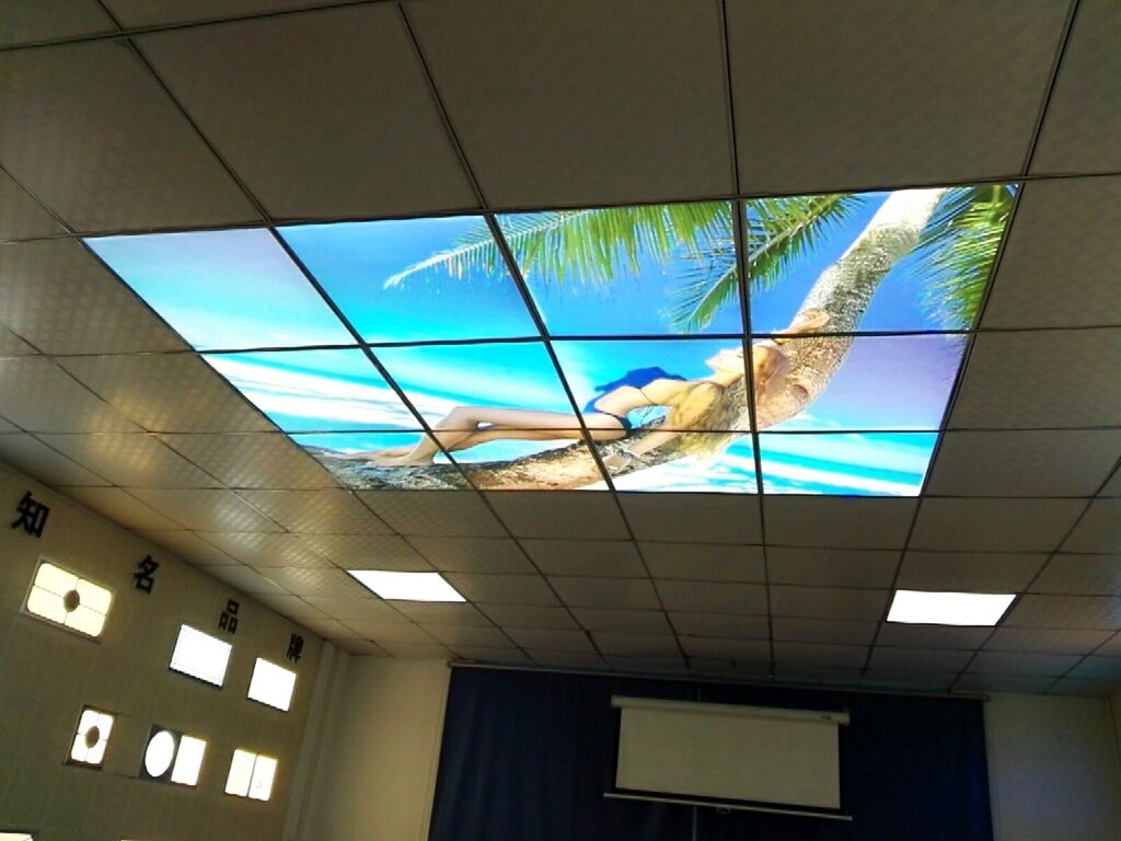 Ceiling light panels