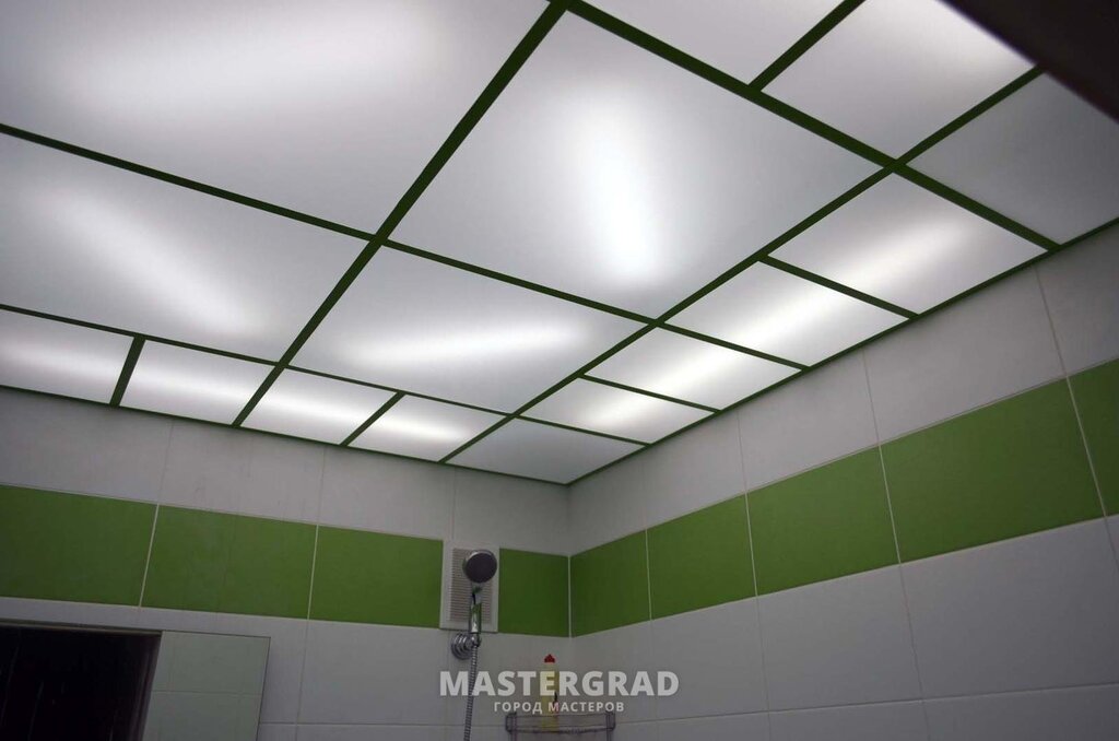 Armstrong ceiling in the bathroom