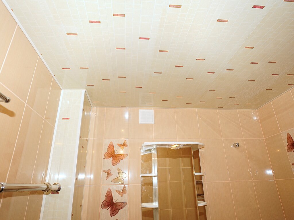 The ceiling in the bathroom is made of plastic panels