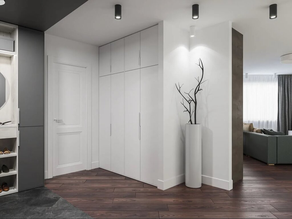 White matte entryway 7 фото