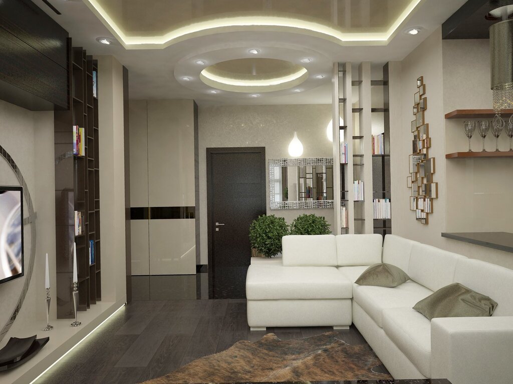 Hallway combined with living room