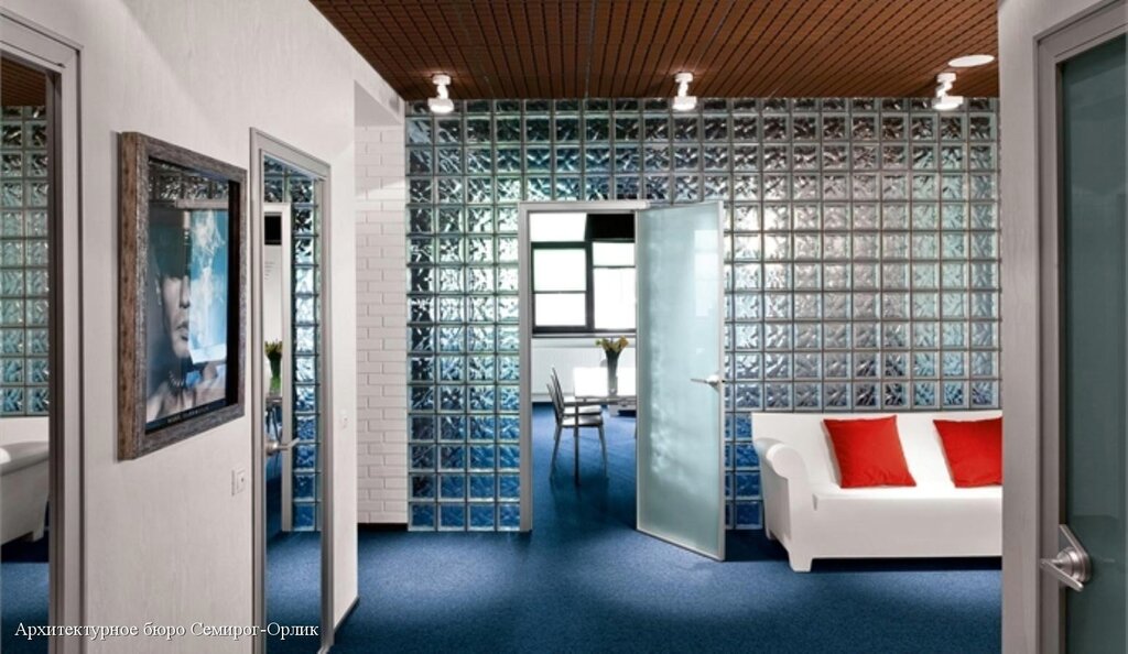 Transparent bricks for partition walls