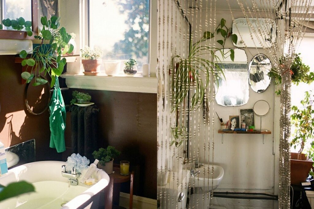 Plants in the bathroom