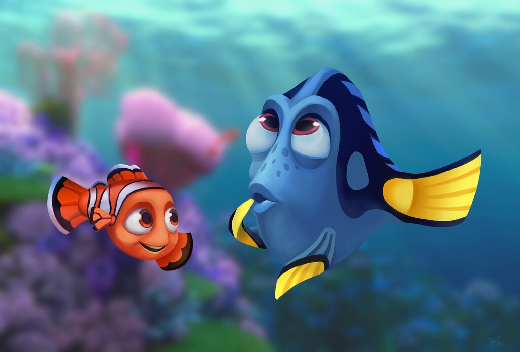 Dory fish pictures