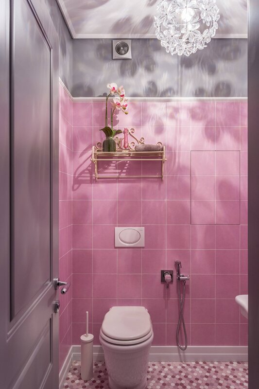 Pink toilet