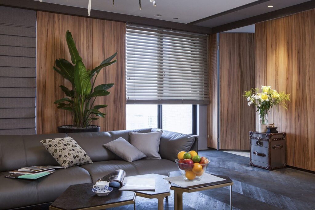 Roller blinds in the living room interior