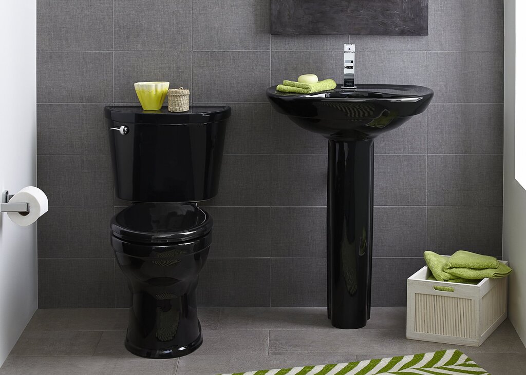 Bathroom with a black toilet