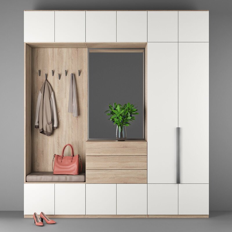 Wall-mounted cabinet for the hallway