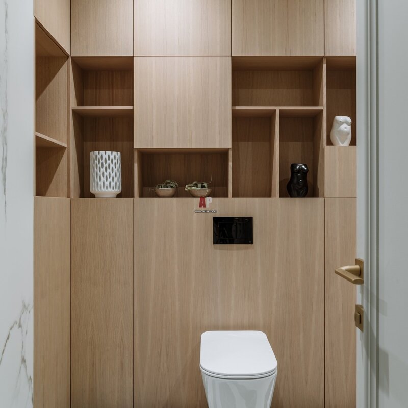 Cabinet in the toilet