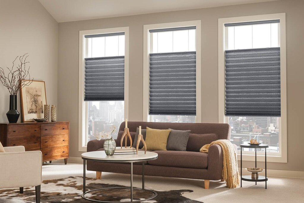 Shottis pleated blinds