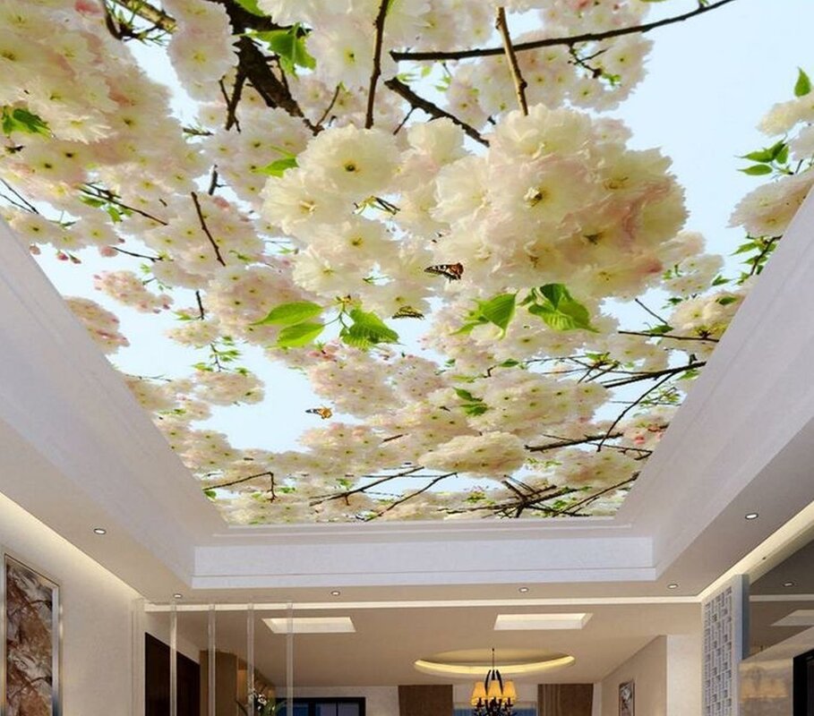 Shutterstock stretch ceilings with photo printing