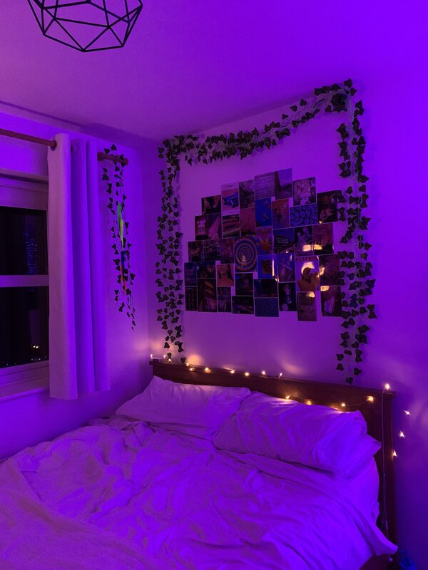 Lilac bed