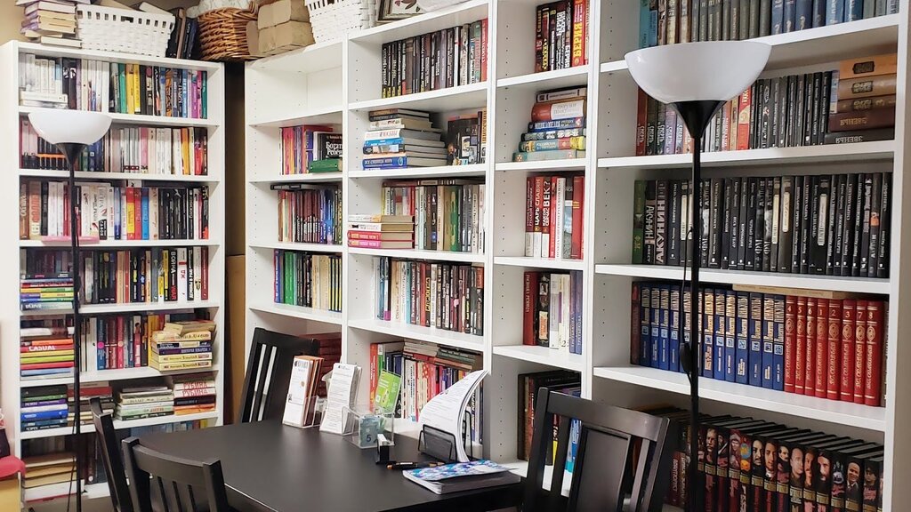 Modern shelves for libraries