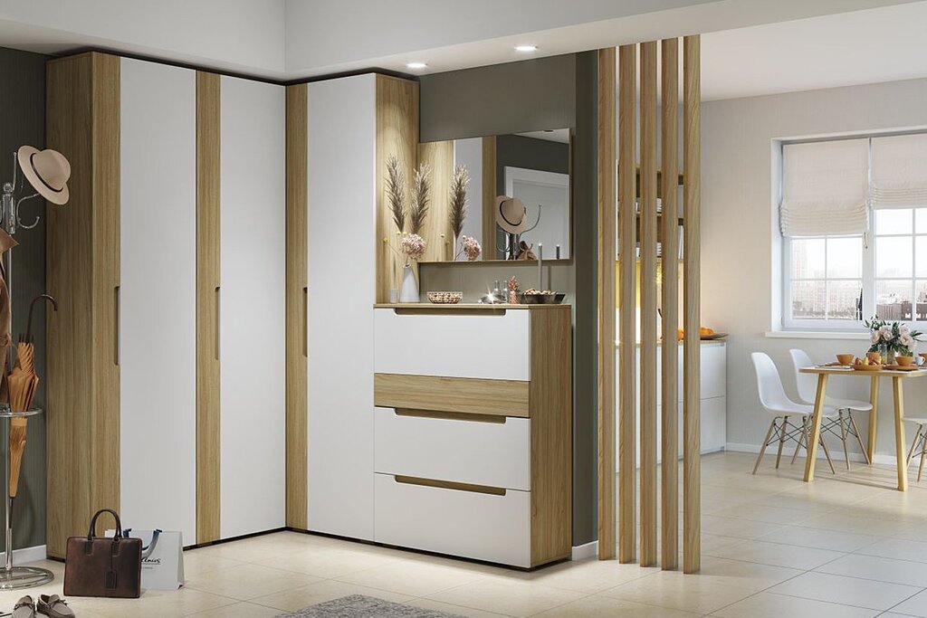 A modern wardrobe for the hallway