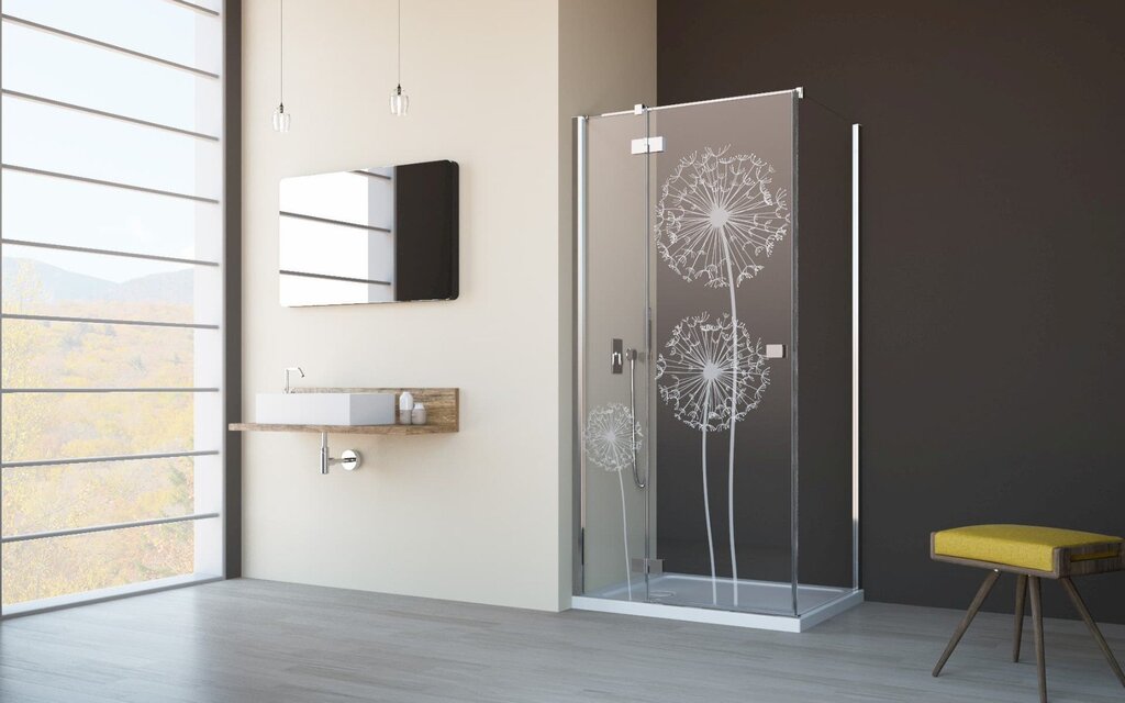 Glass doors for the shower