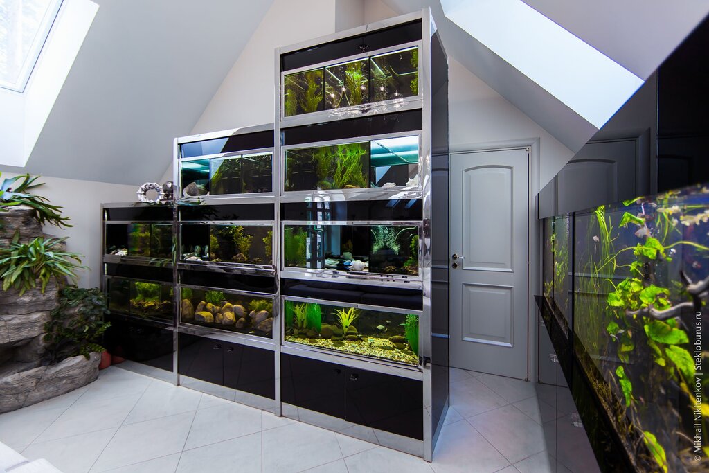 Aquarium stand