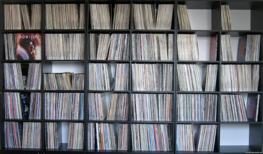 Vinyl record shelf