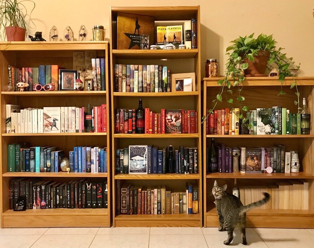 Bookshelves in the apartment