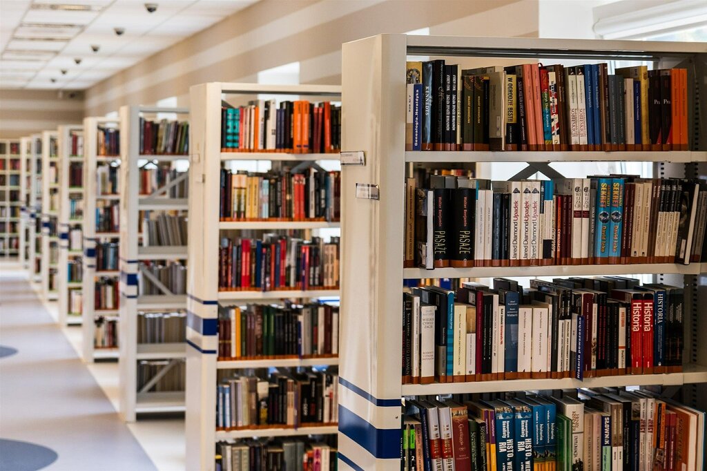 Shelves with books in the library