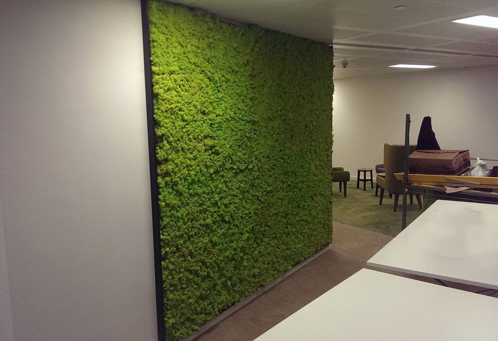 A wall of artificial grass