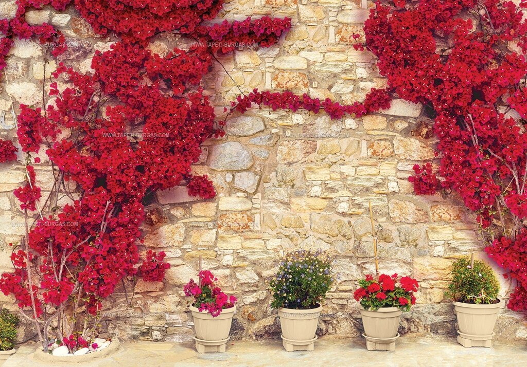 Wall with flowers