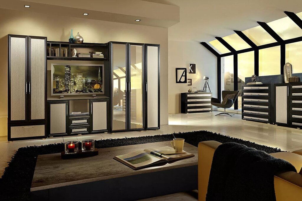 Modern wall units for the room