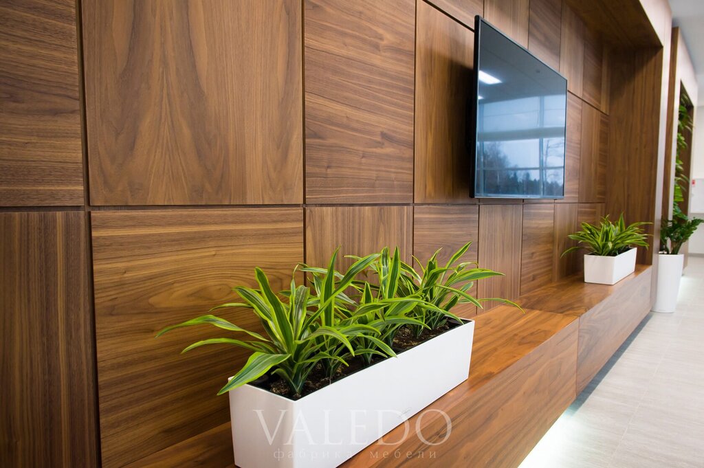 Wall panels made of walnut veneer