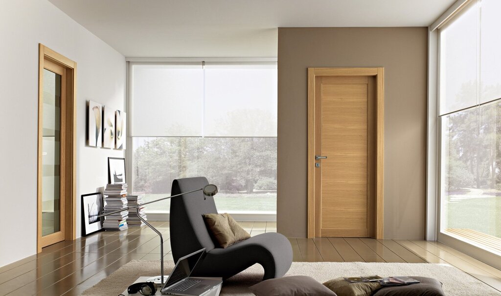 Stylish interior doors 43 фото