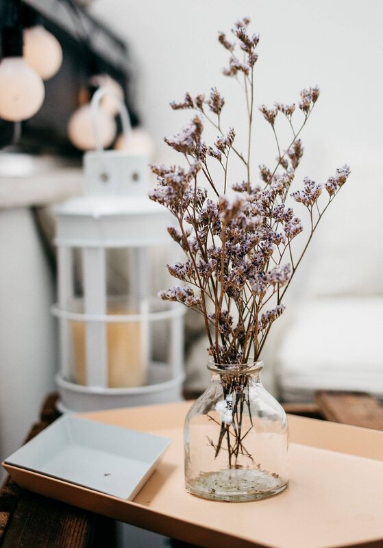 Dried plants for decoration