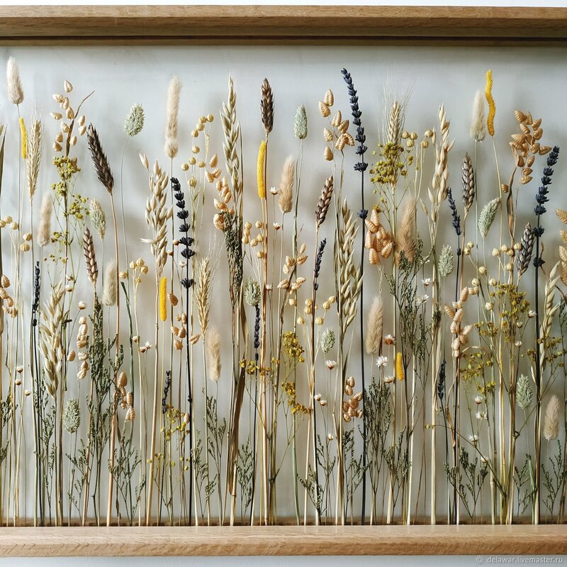 Dried flowers for decoration