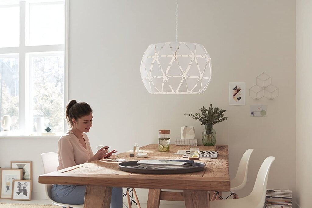 The light fixture above the dining table