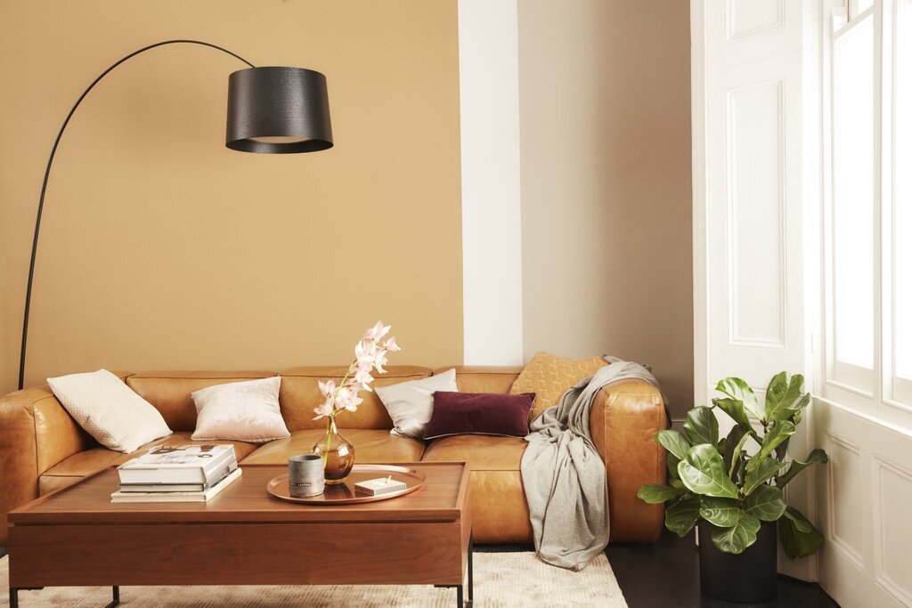 Warm shades of paint for walls