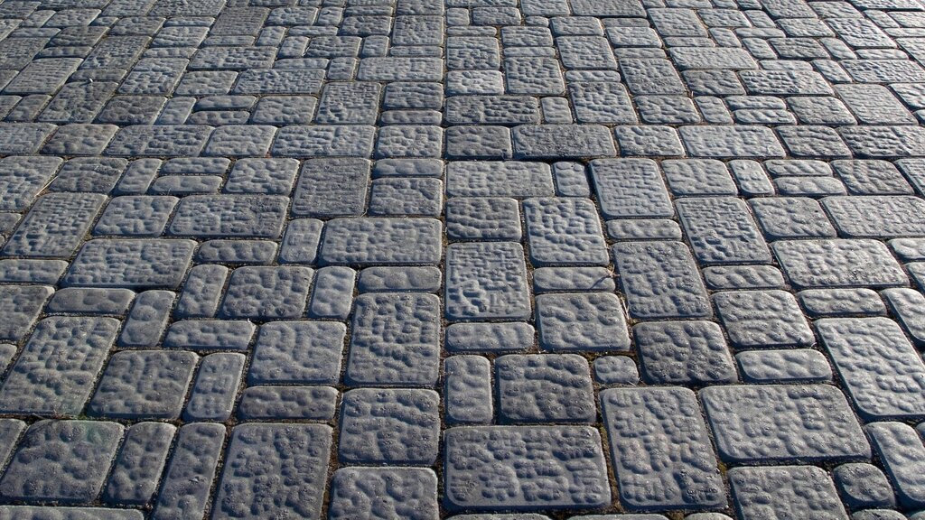 Gothic paving tiles